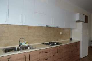 Гостевой дом DSH house Батуми Двухместный номер Делюкс с 1 кроватью и дополнительной кроватью-6